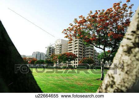 Stock Photography - landscape, scenery, countryside, land, abu, dhabi, buiding. Fotosearch