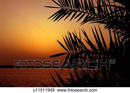 silhouette, abu, dhabi, creek View Large Photo Image Stock Photo - silhouette, abu, dhabi, creek. Fotosearch