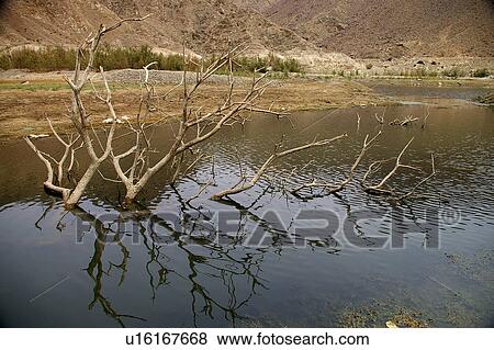 Stock Photo - Country, Sharjah, UAE, Arabic. Fotosearch