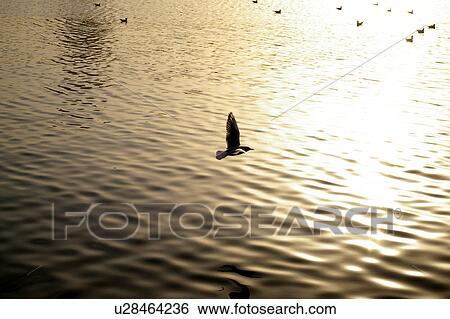 Stock Photograph - Country, Sharjah, UAE, Arabic. Fotosearch