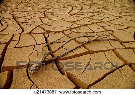 Stock Photo - sand, Country, desert, Sharjah, UAE, broken, Arabic. Fotosearch