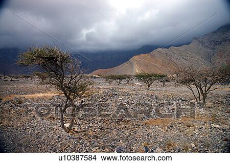 Picture - khaimeh, Country, Khaimah, Ras, UAE, Arabic. Fotosearch