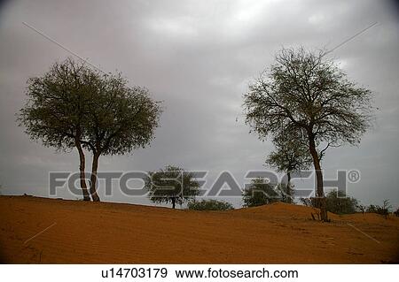 Stock Photo - khaimeh, Country, Khaimah, Ras, UAE, Arabic. Fotosearch