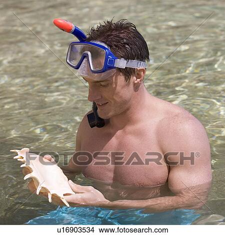 A male snorkeler holding a shell View Large Photo Image Picture - A male snorkeler holding a shell. Fotosearch