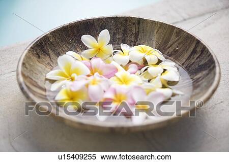 Stock Photography - A bowl of flowers. Fotosearch