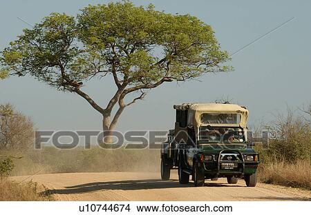 Africa Safari View Large Photo Image Picture - Africa Safari. Fotosearch