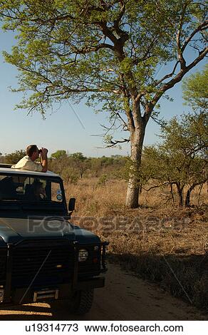 Africa Safari View Large Photo Image Stock Image - Africa Safari. Fotosearch