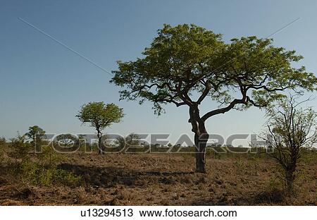 Stock Image - African Landscape. Fotosearch