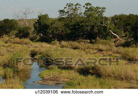 Stock Photograph - African Landscape. Fotosearch