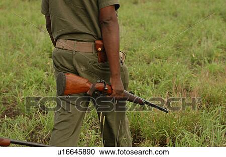 Stock Image - African Safari - morning hike Kruger National Park - South Africa. Fotosearch