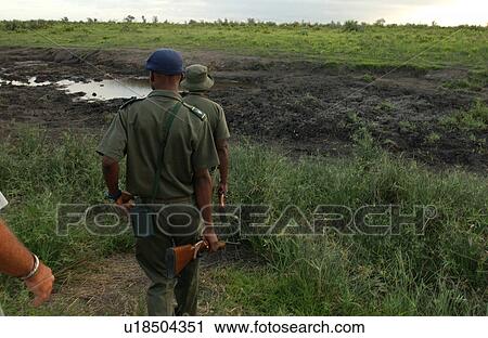 Stock Image - African Safari - morning hike Kruger National Park - South Africa. Fotosearch