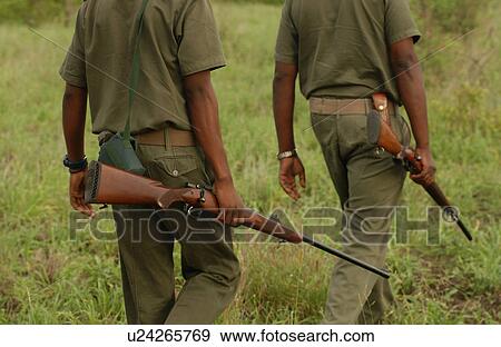 Stock Photo - African Safari - morning hike Kruger National Park - South Africa. Fotosearch