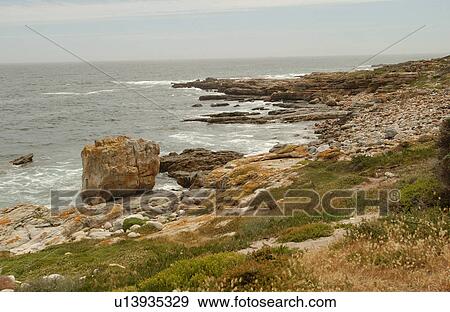 Cape of Good Hope - South Africa View Large Photo Image Stock Photo - Cape of Good Hope - South Africa. Fotosearch