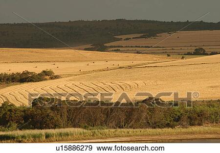 Stock Photo - Coastal Landscape - South Africa. Fotosearch