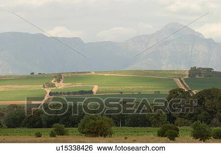 Stock Photograph - Coastal Landscape - South Africa. Fotosearch