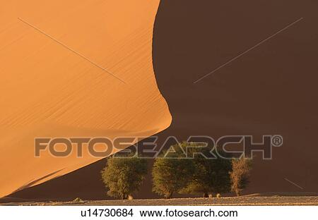 Picture - Sand Dunes of Sossusvlei - Namib desert, Namibia. Fotosearch