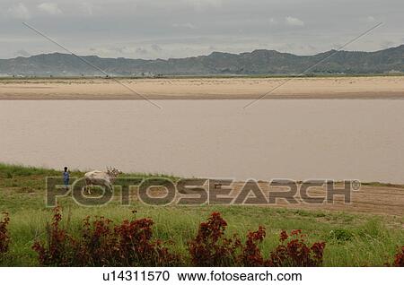 Stock Image - Farmer with his oxen at the Irrawaddy River. Fotosearch