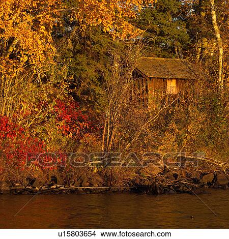 Abandoned Building Amongst Autumn Colors View Large Photo Image Picture - Abandoned Building Amongst Autumn Colors. Fotosearch