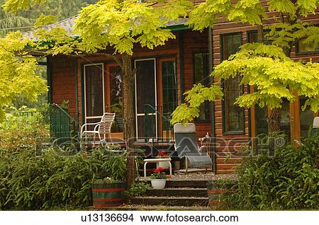 Cabin In Forest Shawnigan Lake Vancuver Island Canada Picture