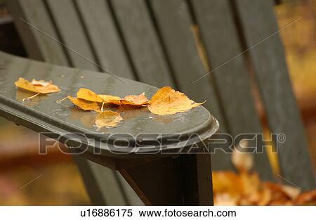 Stock Photography - Deck Chair with Fall Leaves. Fotosearch