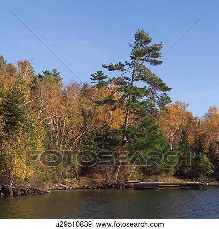 Stock Photo - Forest in autumn colours. Fotosearch