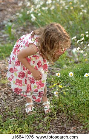 Stock Photograph - Girl picking wildflowers. Fotosearch