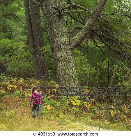 Stock Image - Lake of the woods - Ontario, Canada. Fotosearch
