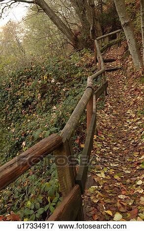 Nature Trail View Large Photo Image Stock Photo - Nature Trail. Fotosearch