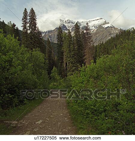 Nature Trail View Large Photo Image Stock Photography - Nature Trail. Fotosearch