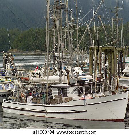 Picture - Boats at dock, Vancouver Island, Canada. Fotosearch