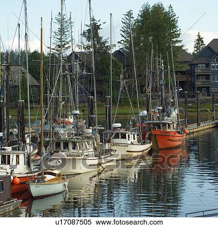 Boats in Ucluelet Harbour, Vancouver Island, Canada View Large Photo Image Stock Photography - Boats in Ucluelet Harbour, Vancouver Island, Canada. Fotosearch