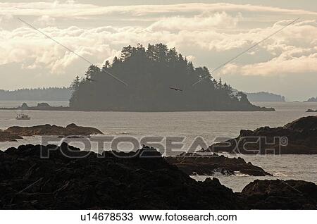 Broken Islands at sunrise, Pacific Rim National Park, Vancouver Island, Canada View Large Photo Image Stock Image - Broken Islands at sunrise, Pacific Rim National Park, Vancouver Island, Canada. Fotosearch