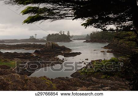 Broken Islands, Pacific Rim National Park, Vancouver Island, Canada View Large Photo Image Picture - Broken Islands, Pacific Rim National Park, Vancouver Island, Canada. Fotosearch