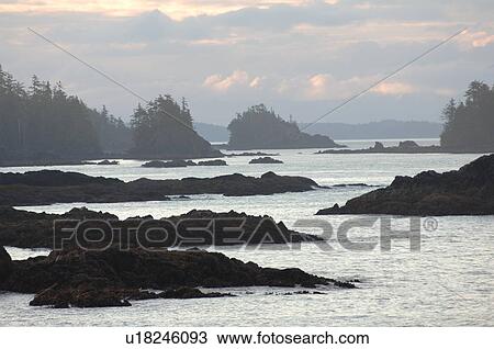 Broken Islands, Pacific Rim National Park, Vancouver Island, Canada View Large Photo Image Stock Image - Broken Islands, Pacific Rim National Park, Vancouver Island, Canada. Fotosearch