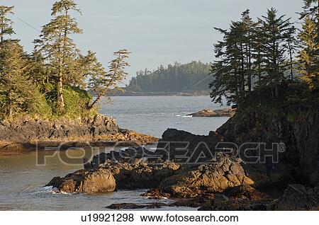 Broken Islands, Pacific Rim National Park, Vancouver Island, Canada View Large Photo Image Stock Photo - Broken Islands, Pacific Rim National Park, Vancouver Island, Canada. Fotosearch