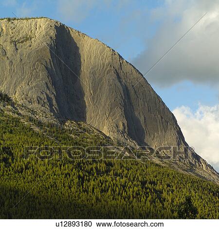 Stock Image - Child holding flower, Mt. Robson Provincial Park, Canada. Fotosearch