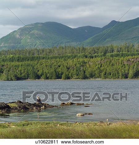Inlet, Vancouver Island, Canada View Large Photo Image Stock Image - Inlet, Vancouver Island, Canada. Fotosearch