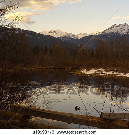 Stock Image - Nature trails in British Columbia. Canada. Fotosearch