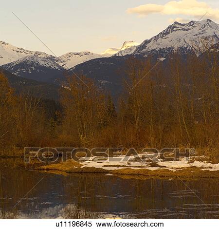 Nature trails in British Columbia. Canada View Large Photo Image Stock Photography - Nature trails in British Columbia. Canada. Fotosearch