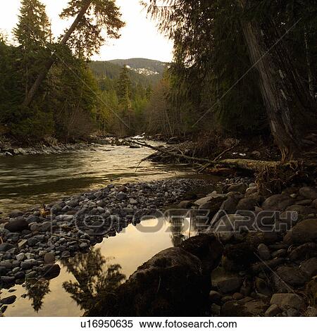 Nature trails in British Columbia, Canada View Large Photo Image Stock Photography - Nature trails in British Columbia, Canada. Fotosearch