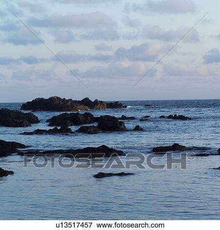 Rocks at shoreline, Pacific Rim Park, Vancouver Island, Canada View Large Photo Image Stock Photo - Rocks at shoreline, Pacific Rim Park, Vancouver Island, Canada. Fotosearch