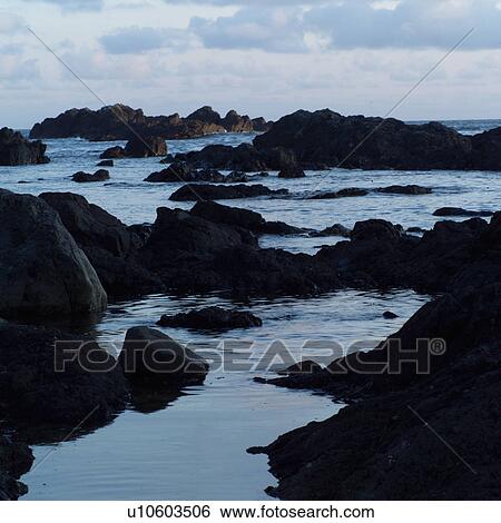 Rocks at shoreline, Pacific Rim Park, Vancouver Island, Canada View Large Photo Image Stock Photograph - Rocks at shoreline, Pacific Rim Park, Vancouver Island, Canada. Fotosearch