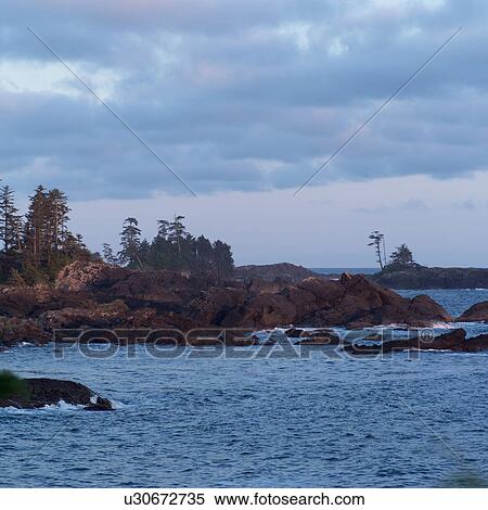 Rocks at shoreline, Pacific Rim Park, Vancouver Island, Canada View Large Photo Image Stock Photography - Rocks at shoreline, Pacific Rim Park, Vancouver Island, Canada. Fotosearch