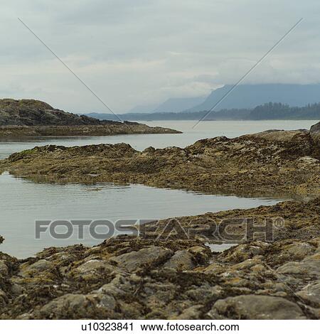 Stock Image - Rocky shoreline, Wickaninnish Beach Trail, Vancouver Island, Canada. Fotosearch