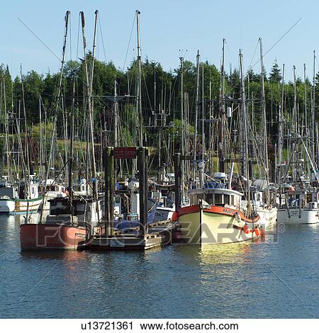 Sailboats docked at pier, Vancouver Island, Canada View Large Photo Image Stock Image - Sailboats docked at pier, Vancouver Island, Canada. Fotosearch