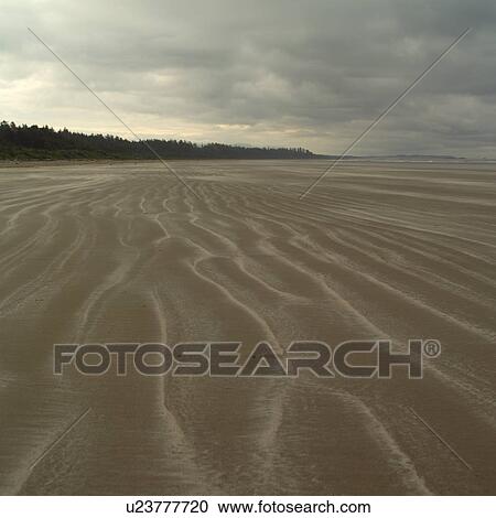 Seascape view of Pacific Ocean, Pacific Rim Park, Vancouver Island, Canada View Large Photo Image Stock Image - Seascape view of Pacific Ocean, Pacific Rim Park, Vancouver Island, Canada. Fotosearch