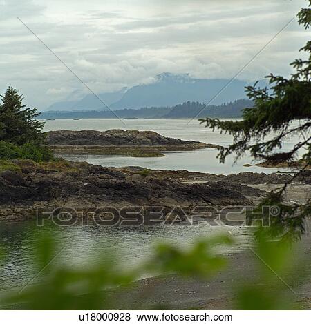 Seascape view, Wickaninnish Beach Trail, Vancouver Island, Canada View Large Photo Image Stock Photo - Seascape view, Wickaninnish Beach Trail, Vancouver Island, Canada. Fotosearch