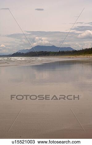 Shoreline, Pacific Rim National Park, Vancouver Island, Canada View Large Photo Image Stock Image - Shoreline, Pacific Rim National Park, Vancouver Island, Canada. Fotosearch