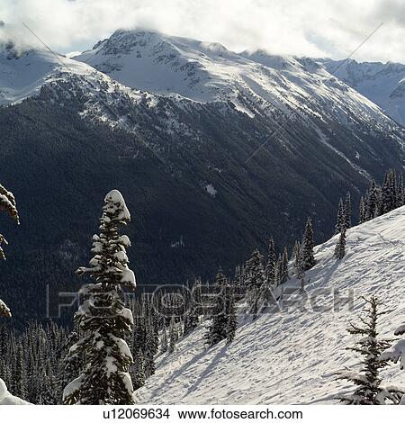 Whistler, Canada - winter View Large Photo Image Picture - Whistler, Canada - winter. Fotosearch