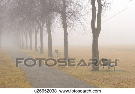 autumn fog in Assiniboine Park, Winnipeg, Manitoba View Large Photo Image Stock Photo - autumn fog in Assiniboine Park, Winnipeg, Manitoba. Fotosearch